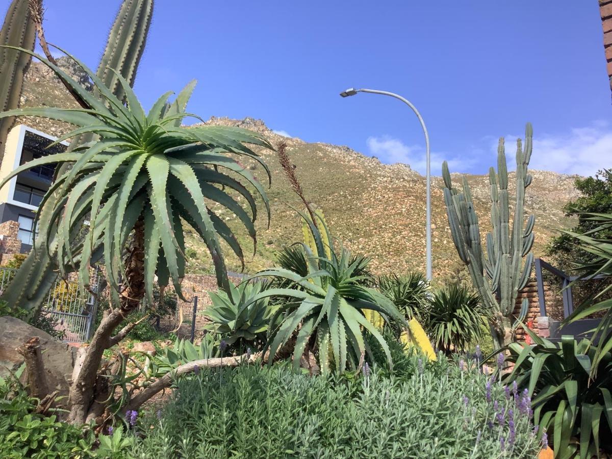 Studio With Unforgettable View Gordons Bay Exterior photo